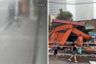 Inseto assusta neta; motorista perde controle e atinge banca