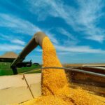 Usinas de cana instalam plantas de milho e aumentam oferta de etanol
